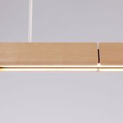 Array Pendant | Tasmanian Oak gallery detail image