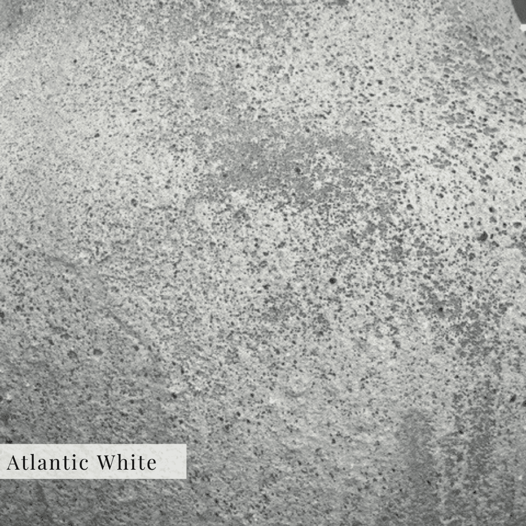 Baxter Urn 2 Handles gallery detail image