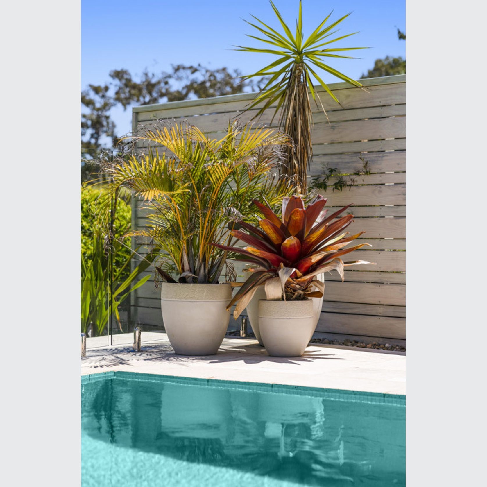 JEWELS 4 POOLS Original | FLG50 gallery detail image