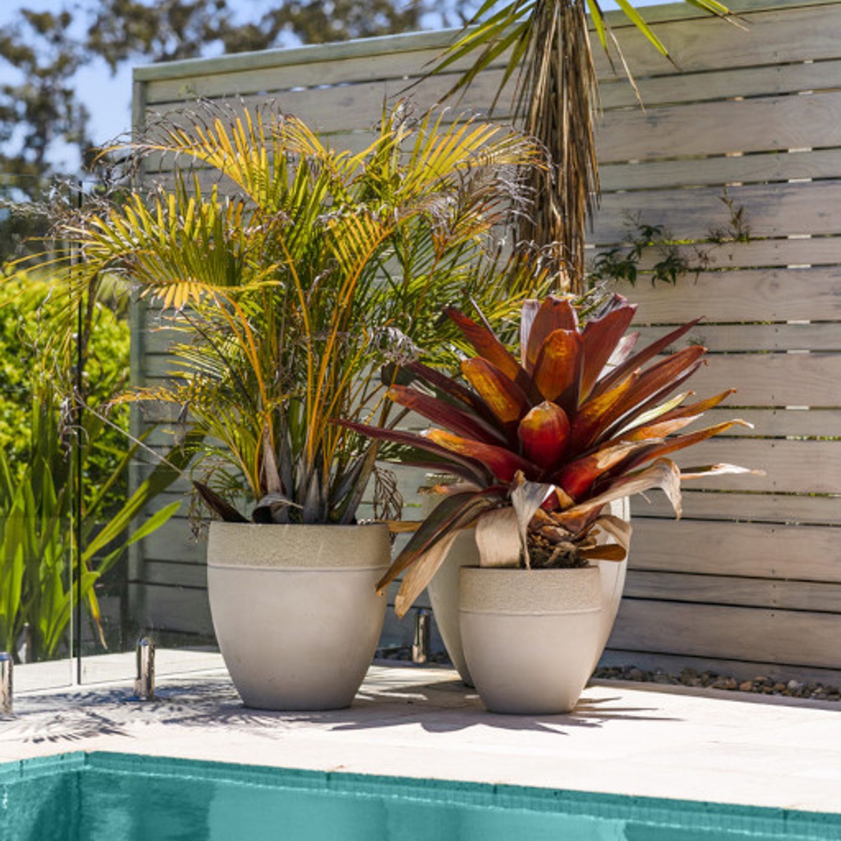 JEWELS 4 POOLS Original | FLG50 gallery detail image