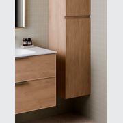 Lineare Axel Tower Cabinet gallery detail image