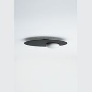 Kwic Wall & Ceiling Light gallery detail image