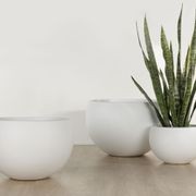 Balwyn Bowl gallery detail image