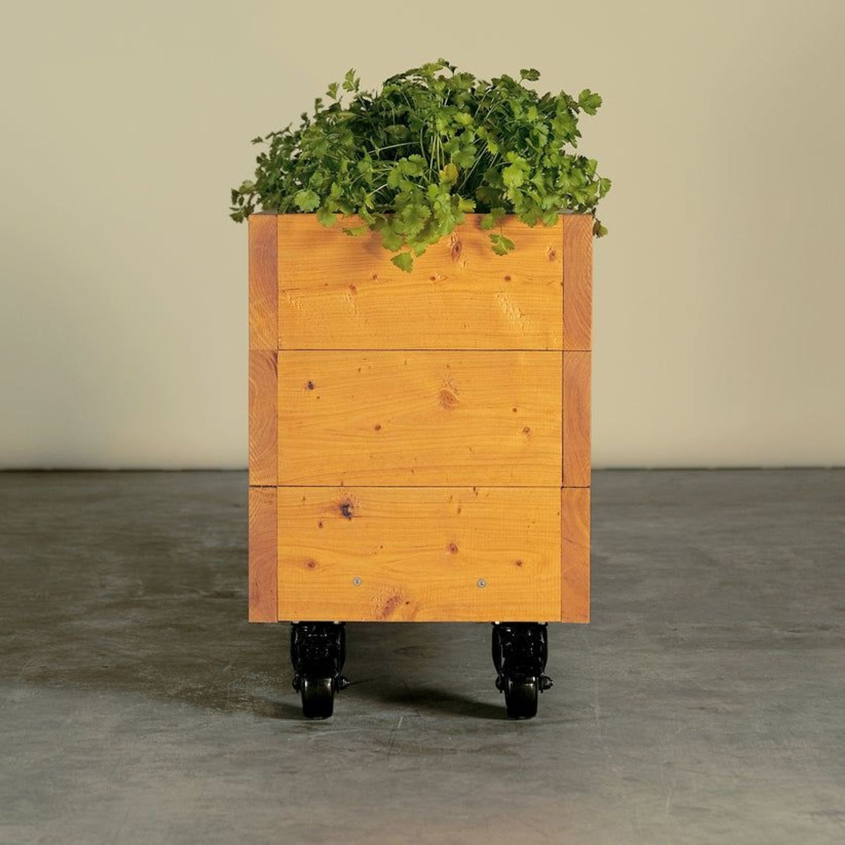 Herb Junior Planter Box On Wheels gallery detail image