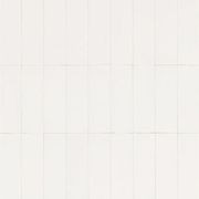 Carter Bianco Matt 150x50mm gallery detail image