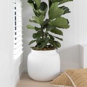 Bilbao Jar gallery detail image