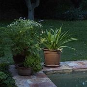 Birdie Single Set Garden Light gallery detail image