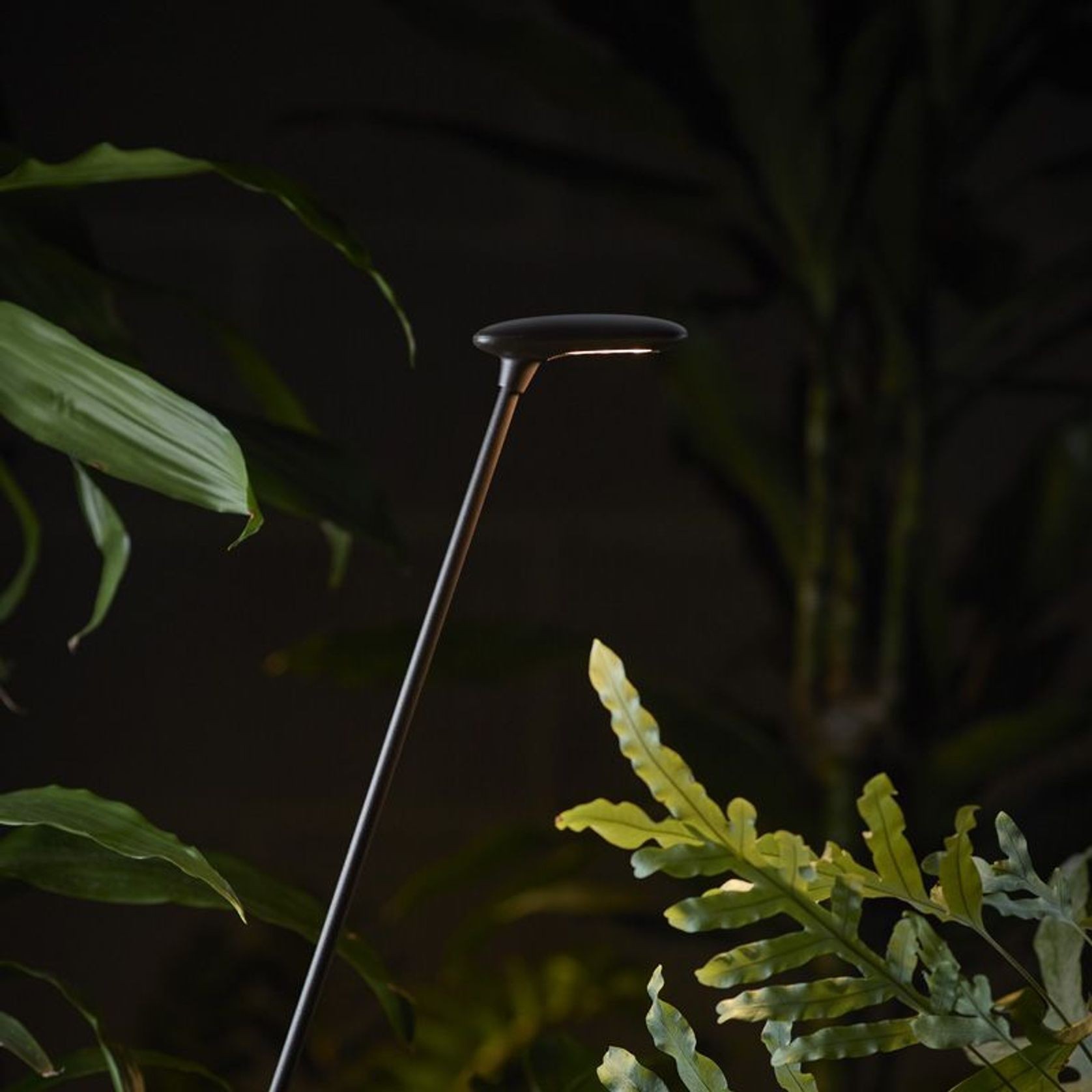 Birdie Single Set Garden Light gallery detail image