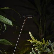 Birdie Single Set Garden Light gallery detail image