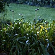 Birdie 2-Light Set Garden Light gallery detail image