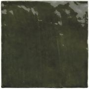 Raya Botanic Gloss gallery detail image