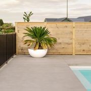 Barcelona 1000 Bowl Planter gallery detail image