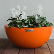 Barcelona 500 Bowl Planter gallery detail image