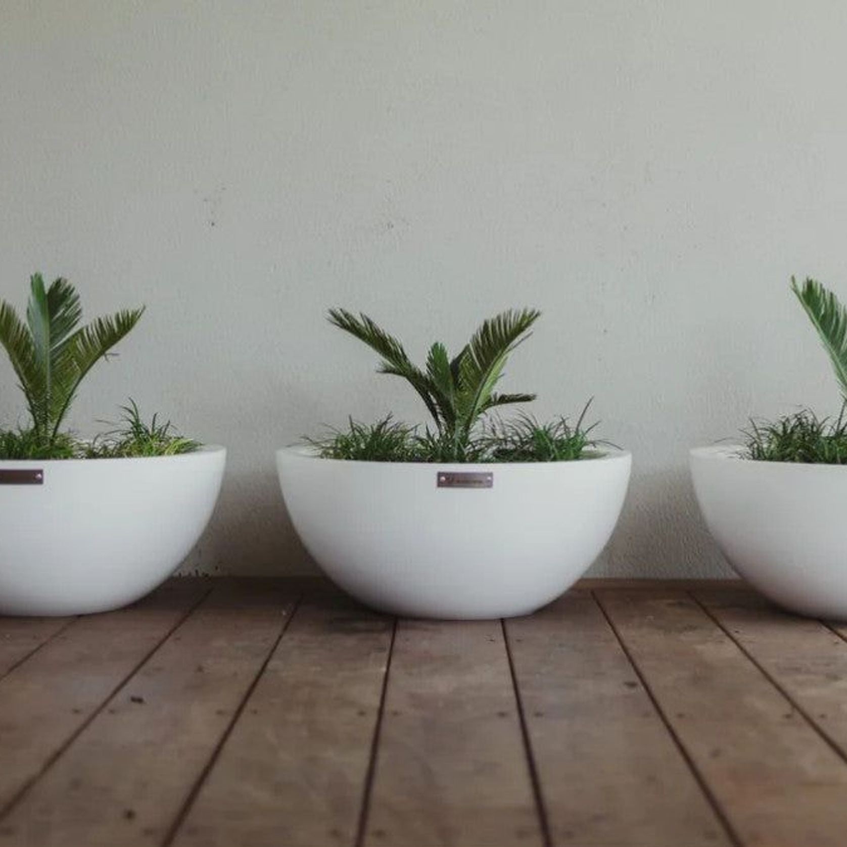 Barcelona 500 Bowl Planter gallery detail image