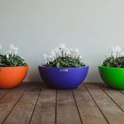 Barcelona 500 Bowl Planter gallery detail image