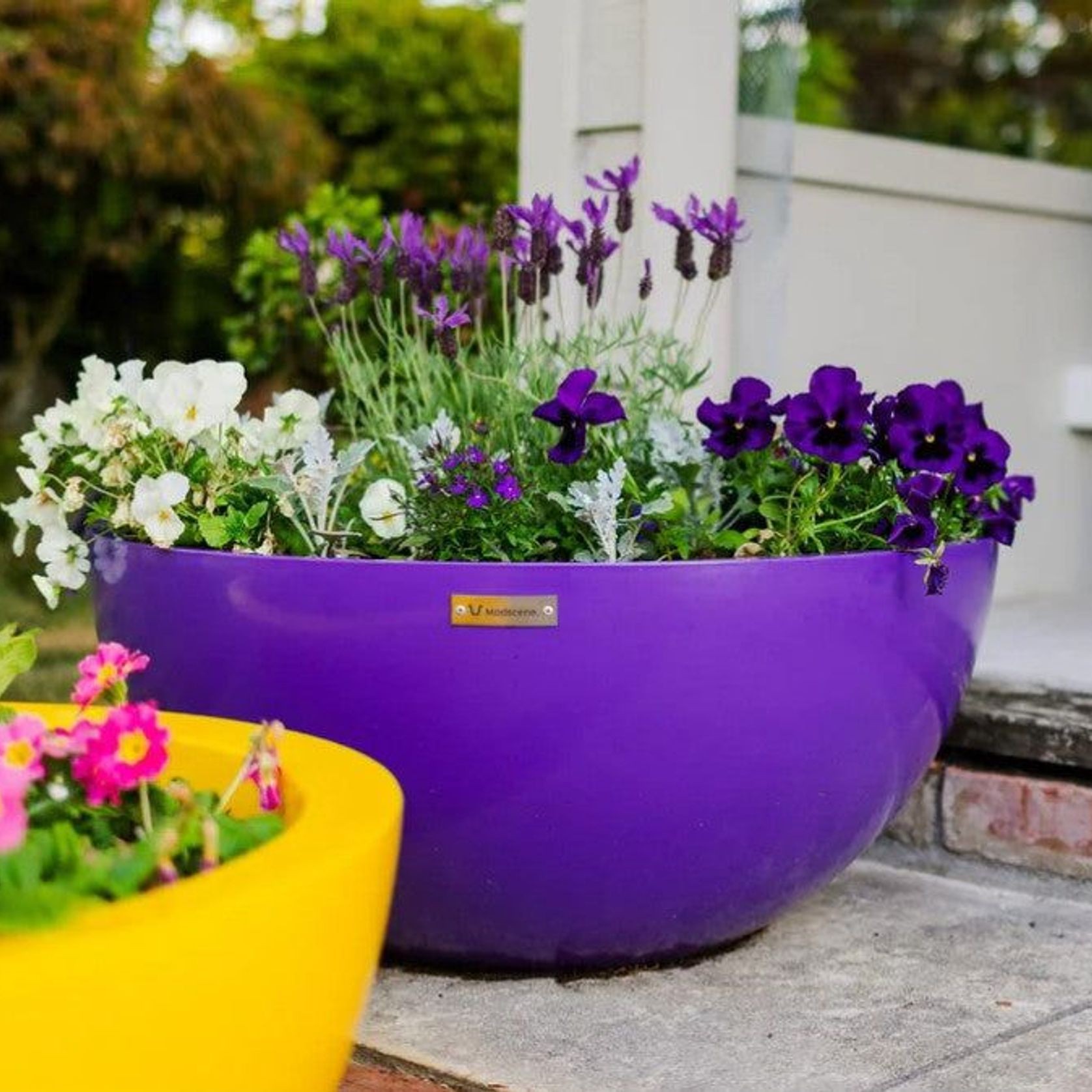 Barcelona 750 Bowl Planter gallery detail image