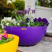 Barcelona 750 Bowl Planter gallery detail image