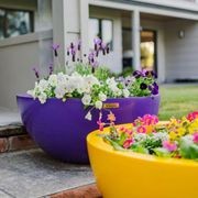 Barcelona 750 Bowl Planter gallery detail image