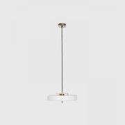 Revolve Pendant Light gallery detail image