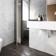 Bianco Carrara Marble Tiles gallery detail image