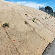 BioPeg 150mm Biodegradable Pins gallery detail image