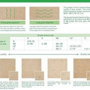 Birch Plywood BB/BB Exterior Glue gallery detail image