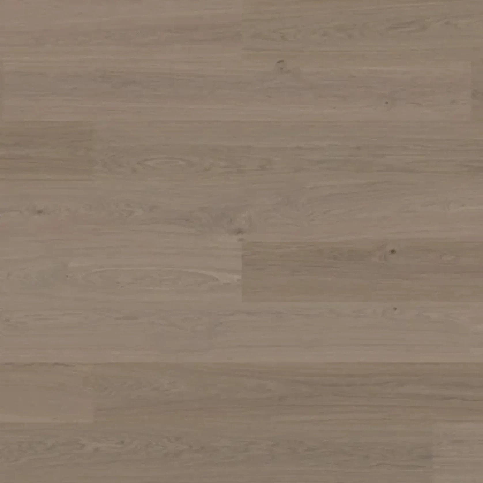 Bjelin S 151 Earth Grey | Blend gallery detail image