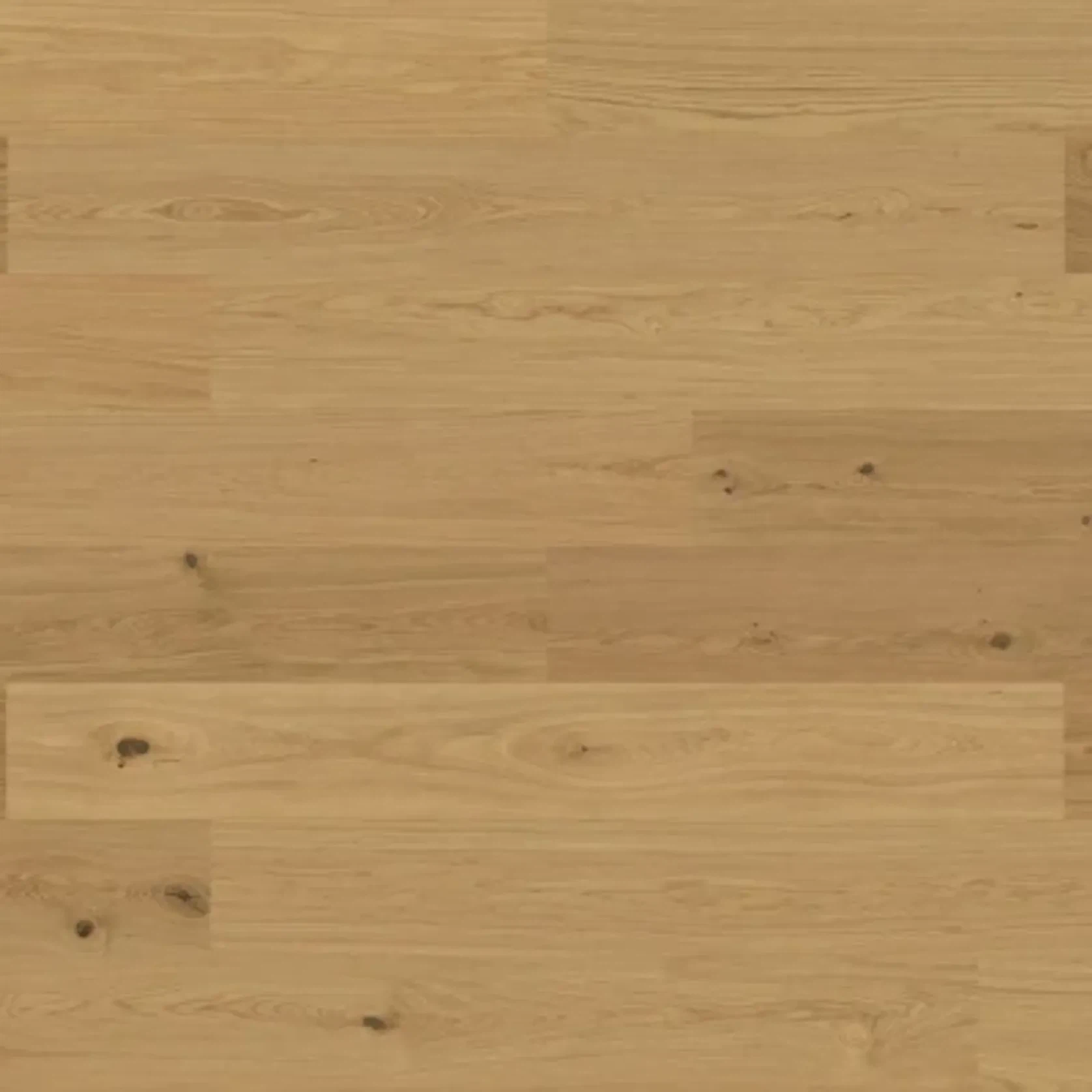 Bjelin S 151 Natural | Blend gallery detail image