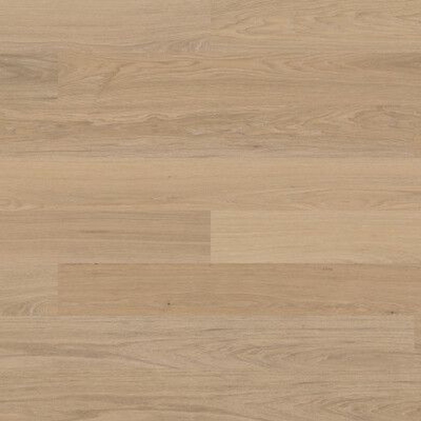 Bjelin XL Contrast Ivory | Nature Grade gallery detail image