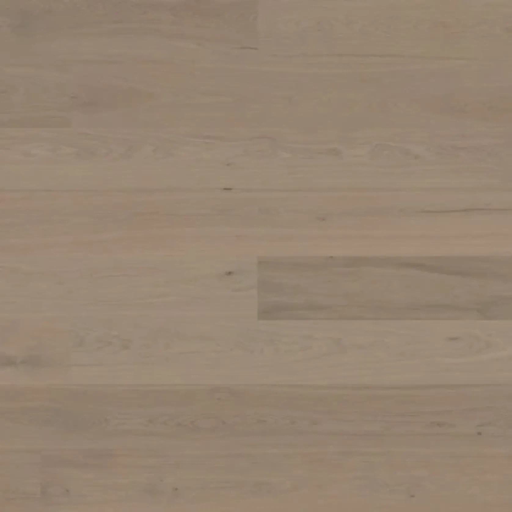 Bjelin XL 206 Earth Grey | Nature Grade gallery detail image