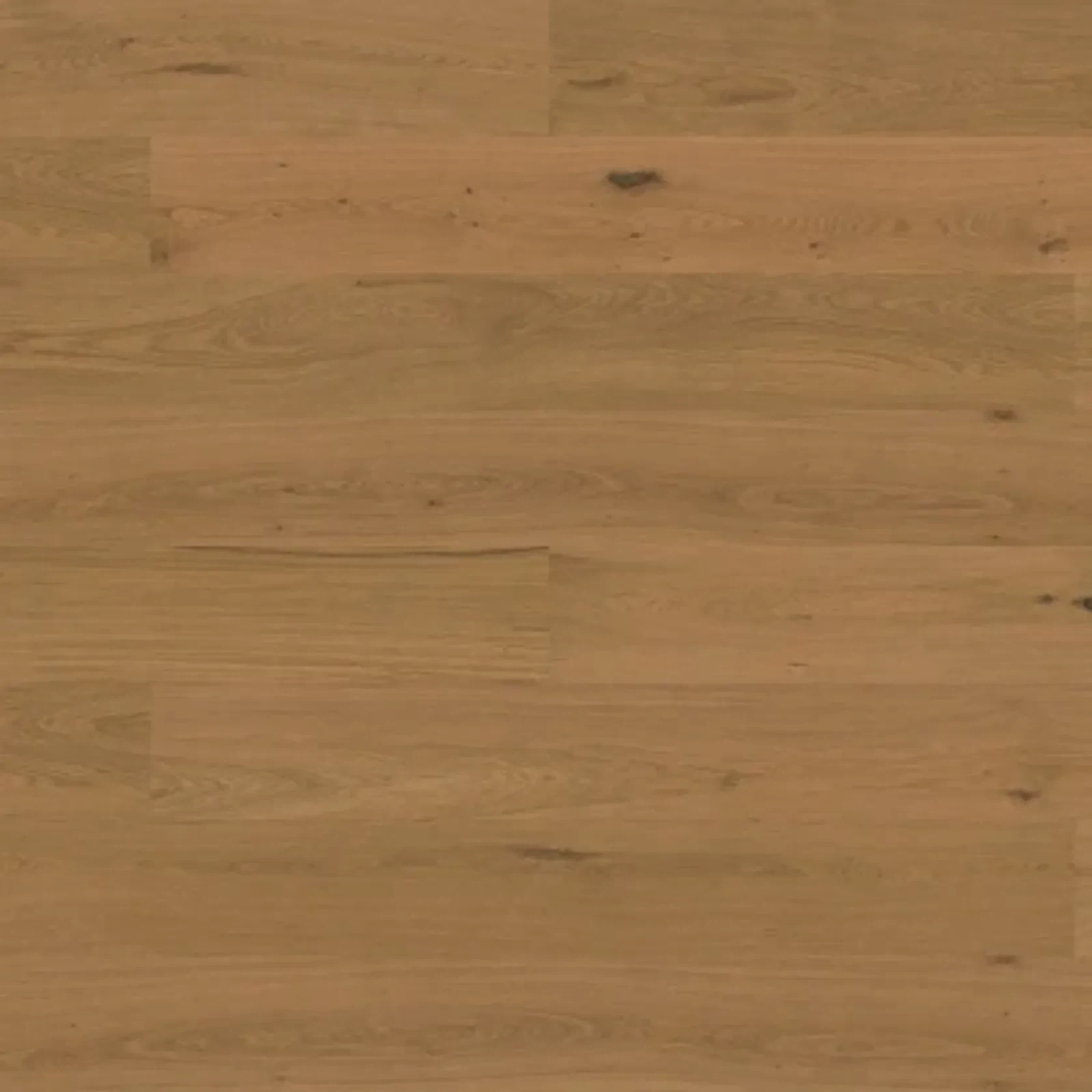 Bjelin XL 206 Honey | Nature Grade gallery detail image