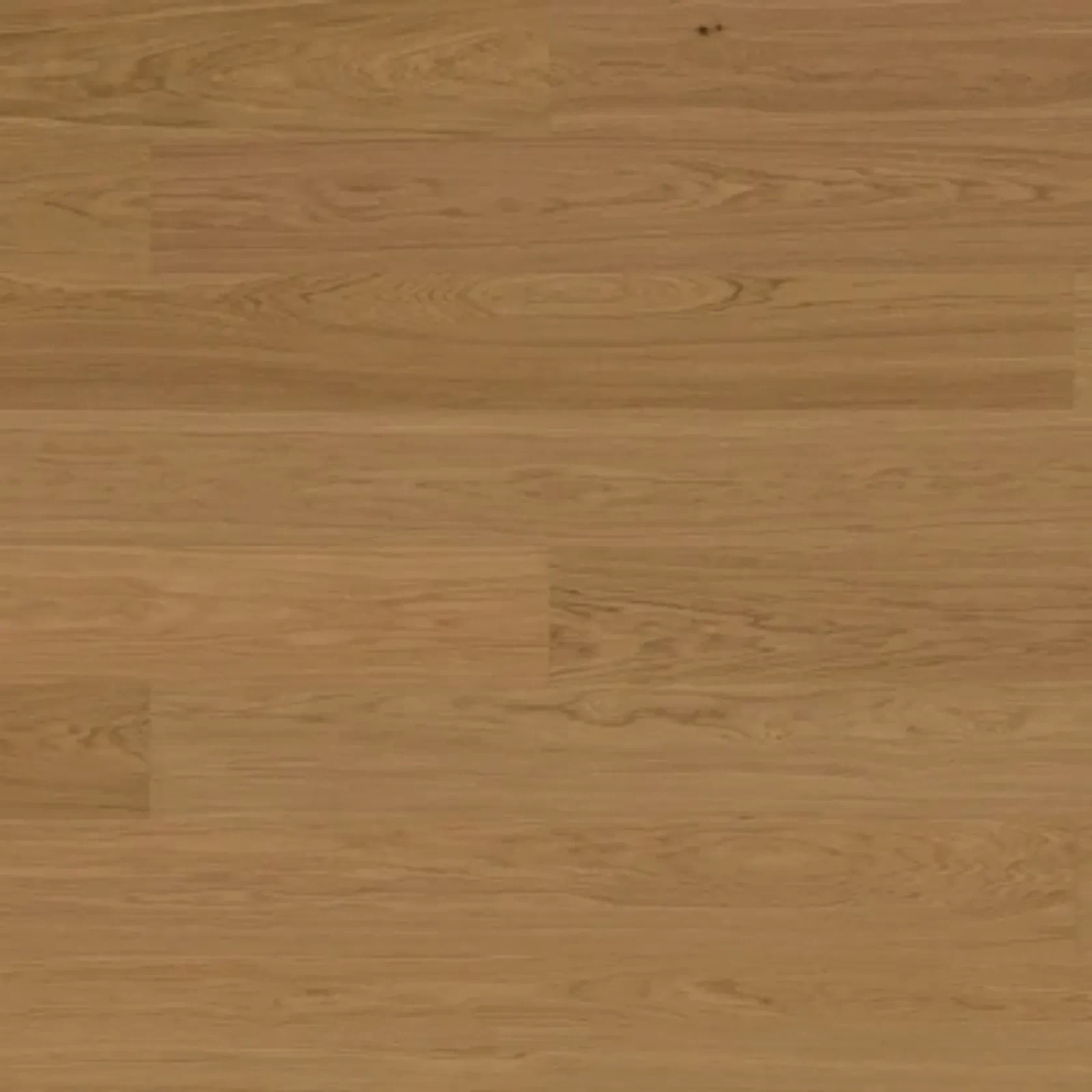 Bjelin XL 206 Honey | Select Grade gallery detail image