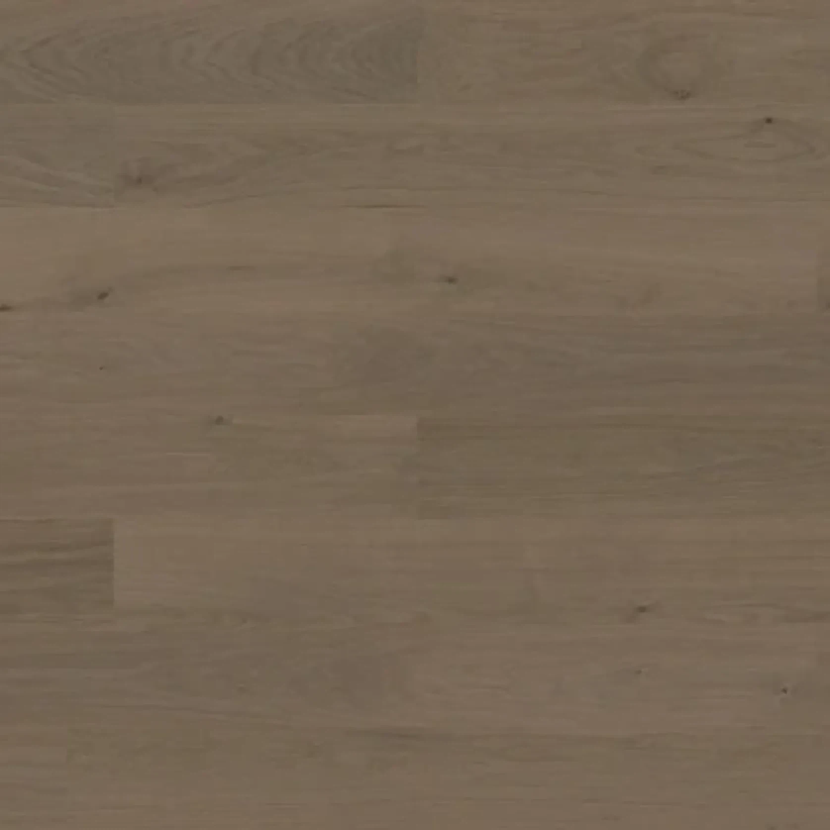 Bjelin XL 206 Mineral Grey | Nature Grade gallery detail image