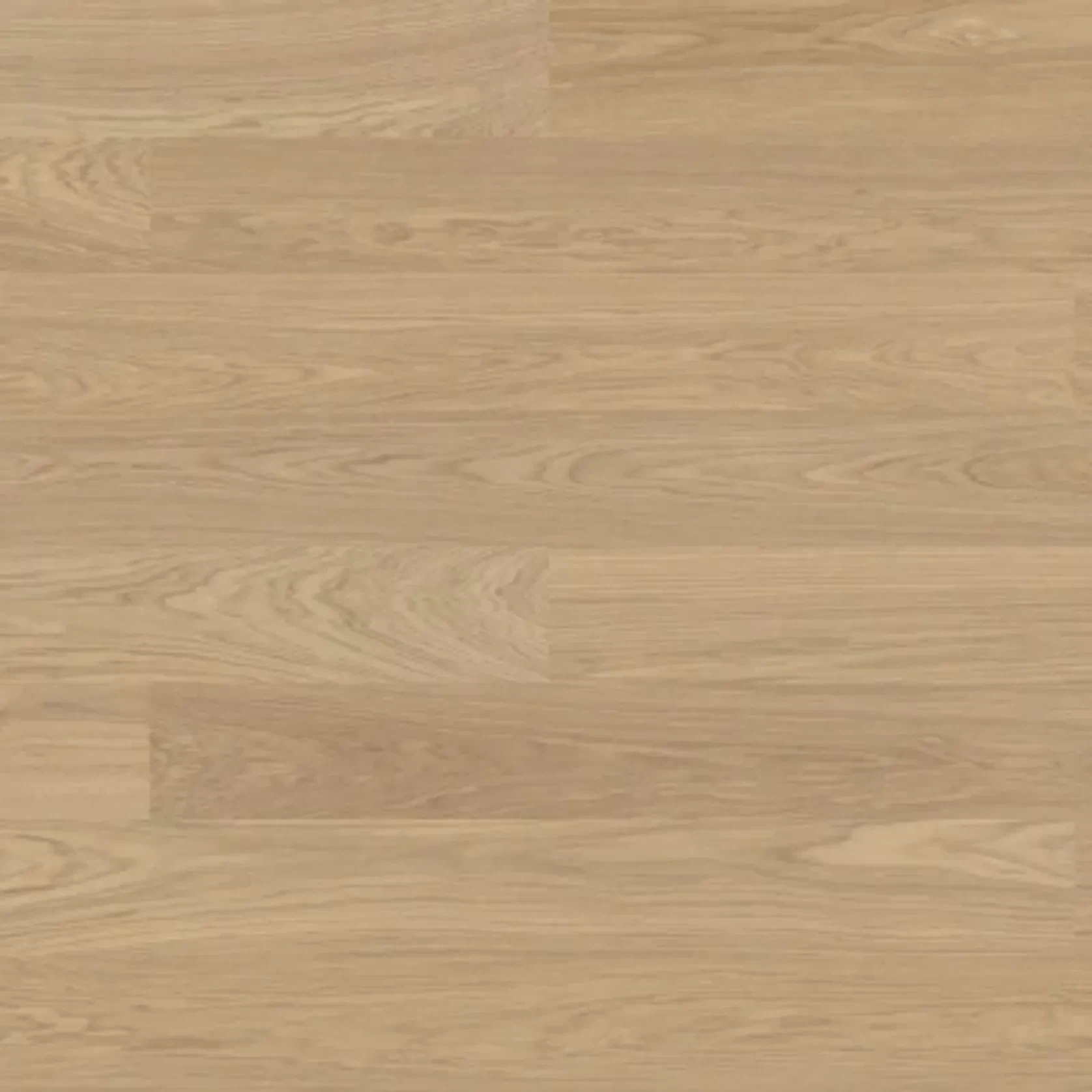 Bjelin XL 206 Misty White | Select Grade gallery detail image