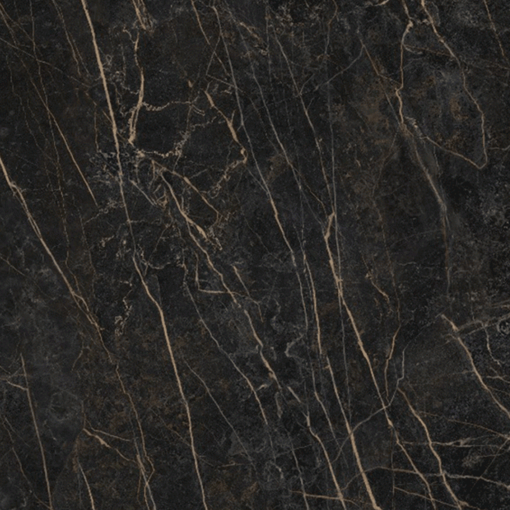 Black Obsession gallery detail image