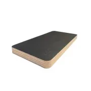 Black FPF Fingerprint Free Birch Plywood 1220x2440 mm gallery detail image