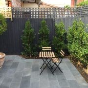 Premium Bluestone Tiles gallery detail image