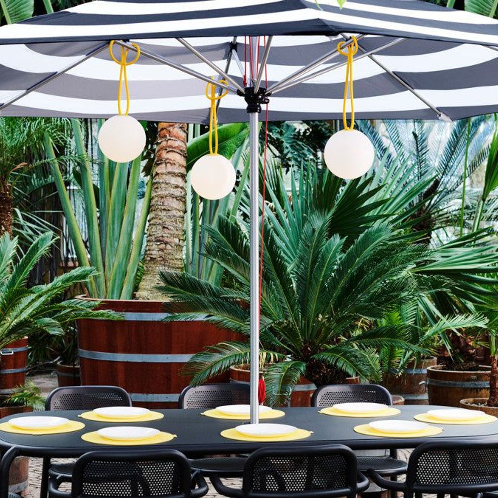 Bolleke gallery detail image