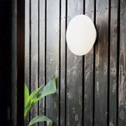 Bubble Outdoor Wall Light gallery detail image