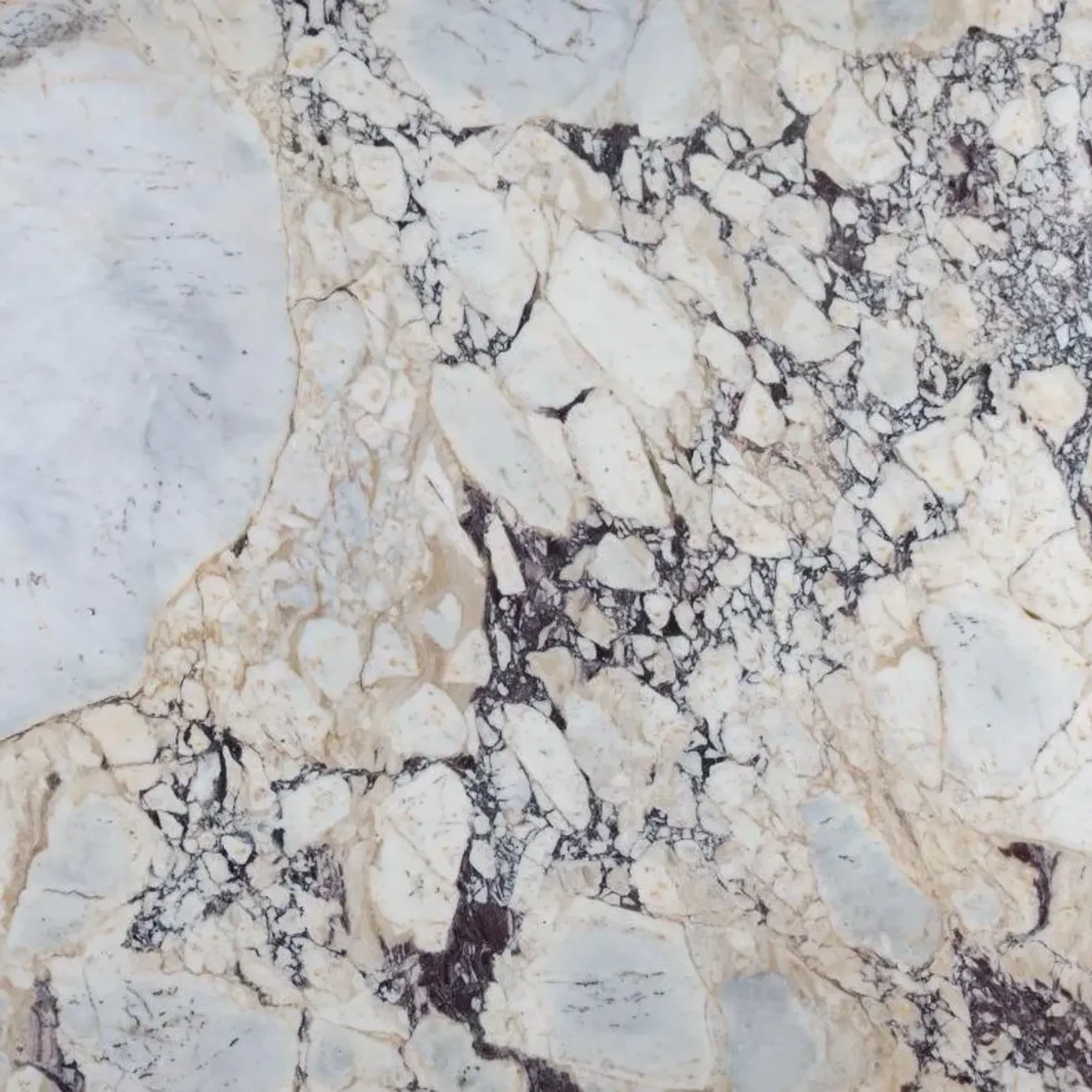 Calacatta Viola Marble Benchtop gallery detail image