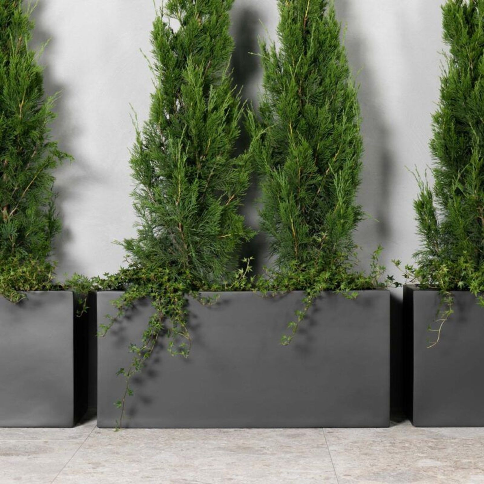 Canterbury Trough gallery detail image