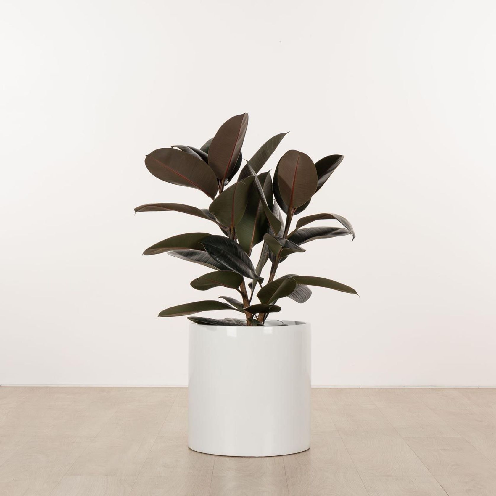 Carindale Cylinder gallery detail image