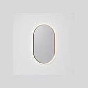 Aura Oval 500x1050 LED Mirror gallery detail image