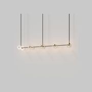 Coral Linear Rod Pendant (Ten Coral Pieces) gallery detail image