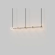 Coral Linear Rod Pendant (Ten Coral Pieces) gallery detail image