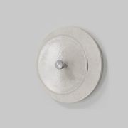 Coral Stone Wall Light gallery detail image