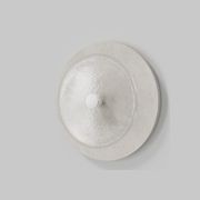Coral Stone Wall Light gallery detail image