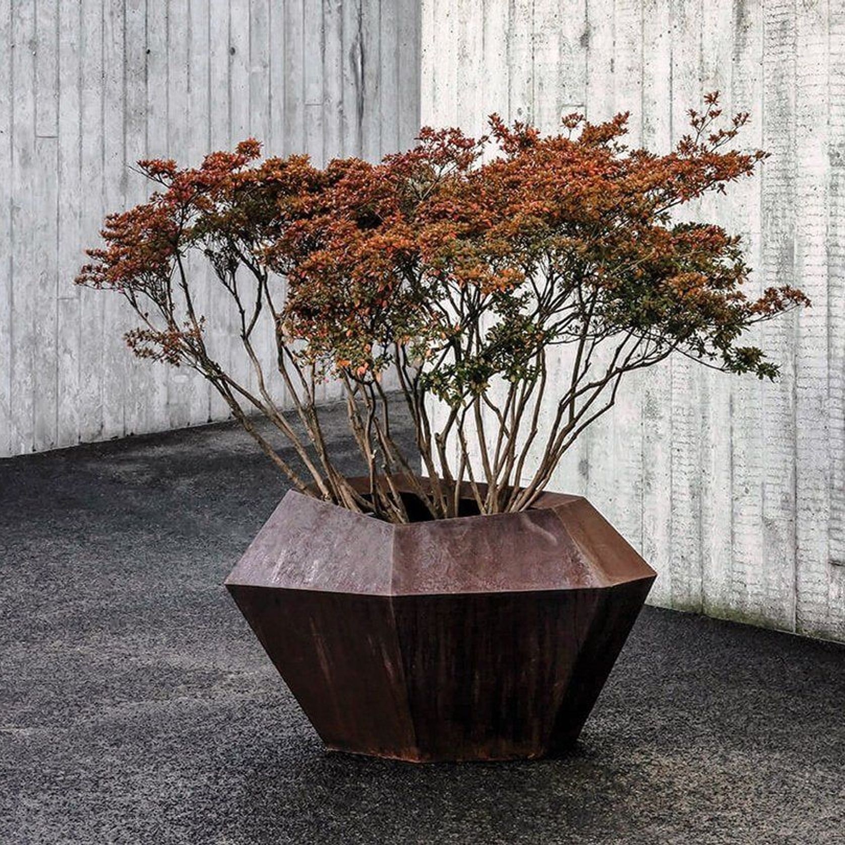 Cortina Low Planter by Domani gallery detail image