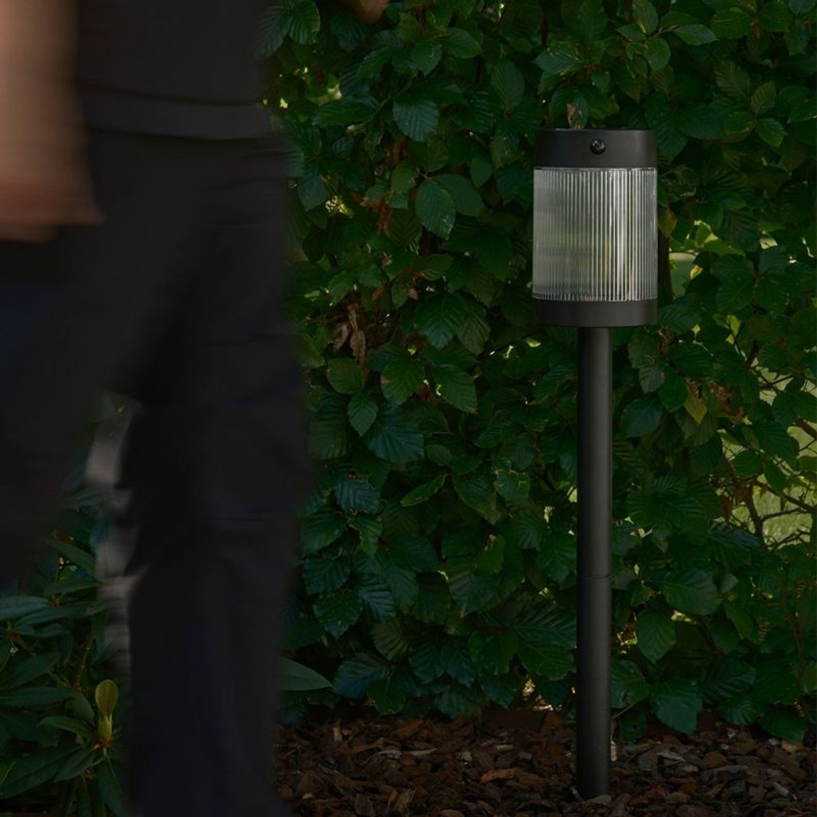 Coupar Solar Garden Spike gallery detail image