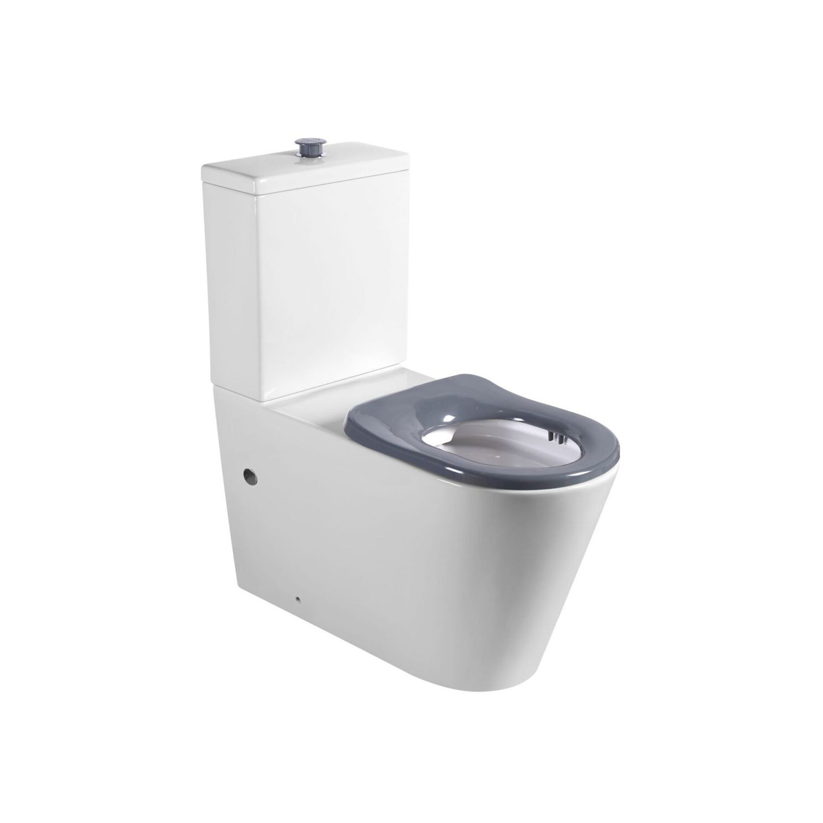 Cara Care Back To Wall Rimless Toilet Suite gallery detail image